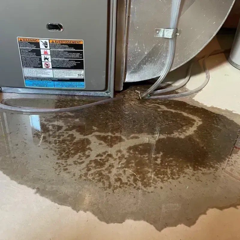 Appliance Leak Cleanup in Cabool, MO